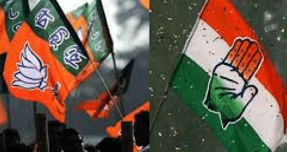 2019 Election Opinion Poll